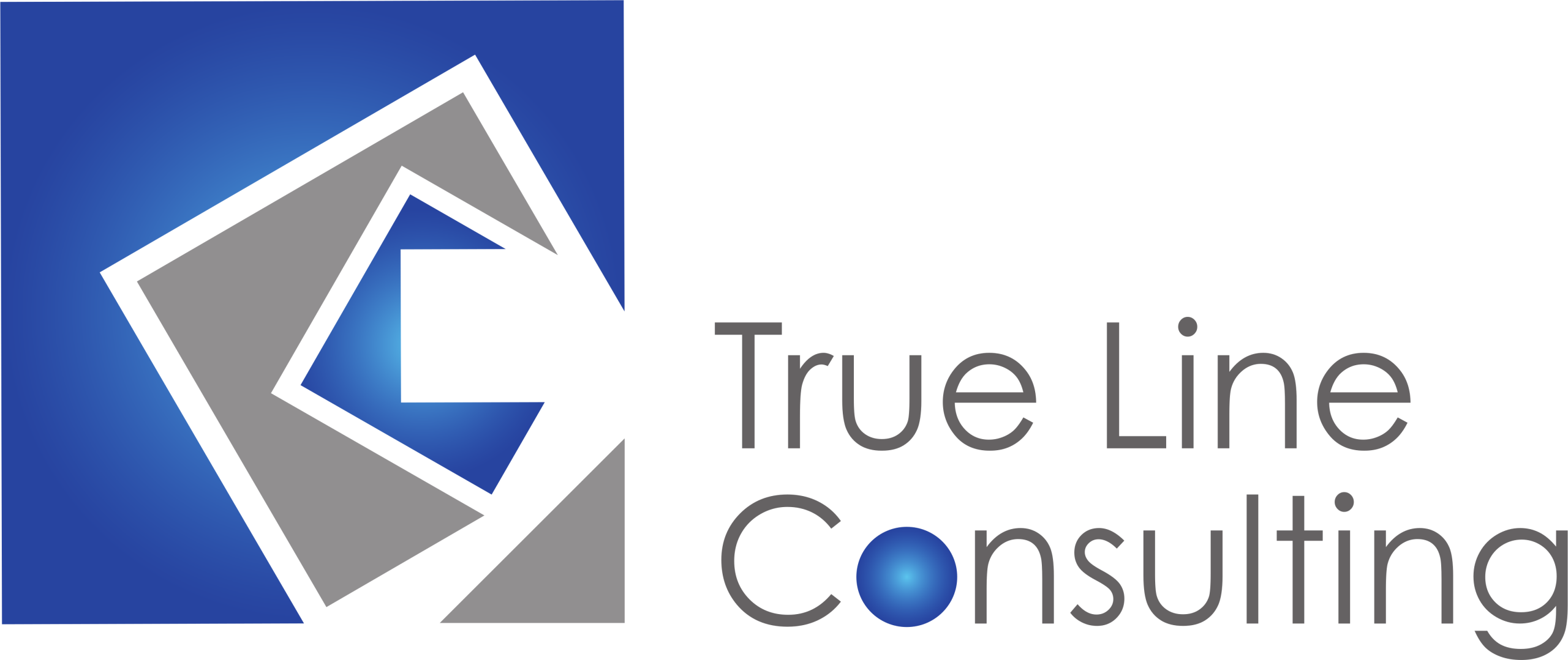 True Line Consulting